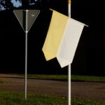 Heidi Specker, Flagge, 2019